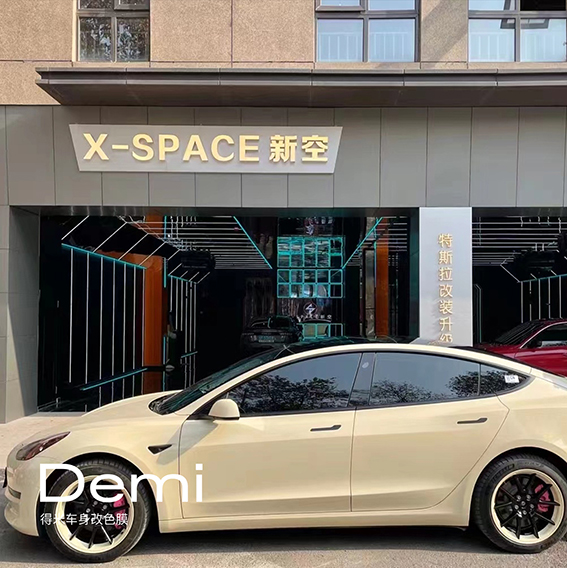 特斯拉Model 3-亮卡其米兰